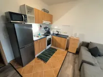 Pronájem bytu 1+kk, Ústí nad Labem, Baráčnická, 33 m2
