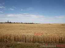 Prodej pole, Blanné, 24000 m2