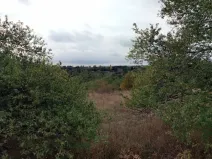 Pronájem zahrady, Dolní Kounice, 1406 m2