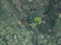 Prodej lesa, Staré Hamry, 59962 m2