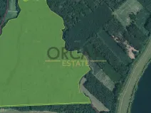 Prodej lesa, Kostelany nad Moravou, 58008 m2