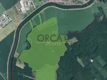 Prodej lesa, Kostelany nad Moravou, 58008 m2