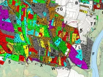 Dražba lesa, Hosty, 1803 m2