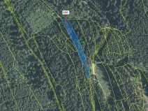 Dražba lesa, Lačnov, 2442 m2