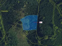 Dražba lesa, Lhota Rapotina, 1938 m2