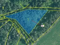 Dražba lesa, Kuřimany, 2947 m2