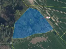 Dražba lesa, Březovice, 4432 m2