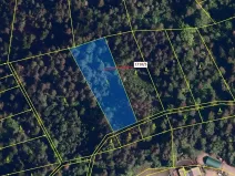 Dražba lesa, Návsí, 3528 m2