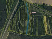 Dražba lesa, Bzenec, 4949 m2