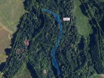 Dražba lesa, Bouzov, 1158 m2