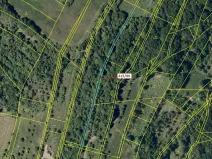 Dražba louky, Jankovice, 655 m2