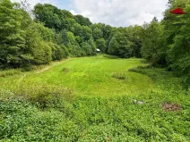 Prodej rybníku, Petrov, 7803 m2