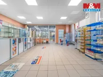 Pronájem komerční nemovitosti, Ústí nad Labem - Severní Terasa, Šrámkova, 181 m2