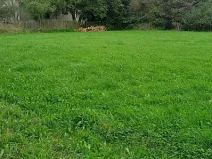 Prodej pozemku, Králova Lhota - Laziště, 2640 m2