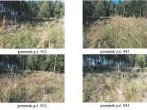 Prodej lesa, Česká Bělá, 7690 m2