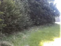 Prodej lesa, Vendryně, 3059 m2