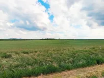 Prodej pole, Kouty, 29924 m2