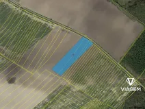 Prodej podílu pole, Velenice, 663 m2