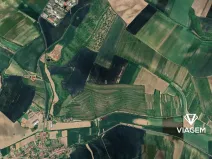 Prodej pole, Morkůvky, 295 m2