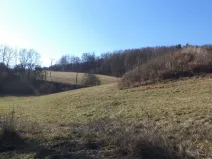 Prodej pole, Úštěk - Tetčiněves, 4600 m2