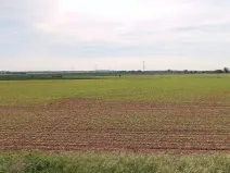 Prodej pole, Zdětín, 17648 m2