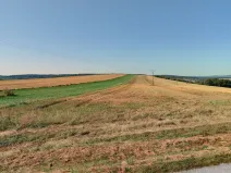 Prodej pole, Plasy, 15688 m2