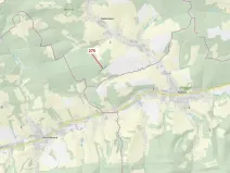 Dražba lesa, Kateřinice, 4826 m2