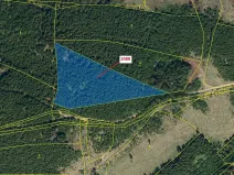 Dražba lesa, Kateřinice, 10174 m2