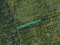 Prodej louky, Kněždub, 6886 m2