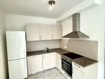 Pronájem bytu 1+kk, Praha - Karlín, Sokolovská, 40 m2