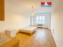 Pronájem bytu 1+kk, Praha - Nusle, V Horkách, 25 m2