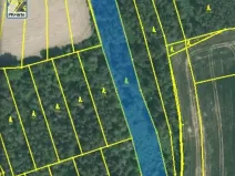 Dražba lesa, Blížejov, 4624 m2