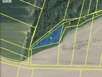Dražba lesa, Blížejov, 1122 m2
