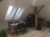 Pronájem bytu 1+kk, Plzeň, Pod Švabinami, 47 m2