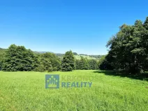 Prodej louky, Trutnov - Babí, 68585 m2