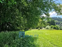 Prodej louky, Trutnov - Babí, 68585 m2