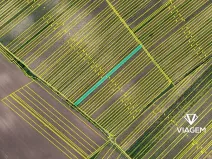 Prodej podílu pole, Rakvice, 689 m2