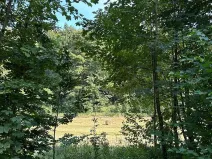 Dražba pozemku, Krompach, 21972 m2