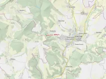 Dražba lesa, Český Dub, 2117 m2