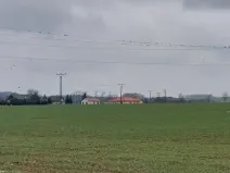 Prodej pole, Podluhy, 25484 m2