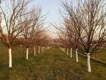 Prodej pozemku pro bydlení, Uherský Brod, Trnková, 1000 m2