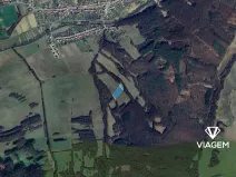 Prodej pole, Záhorovice, 9819 m2