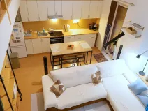 Pronájem bytu 1+kk, Brno, Botanická, 50 m2