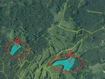 Prodej podílu lesa, Vlachovo Březí, 1357 m2