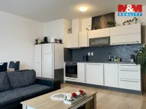 Pronájem bytu 2+kk, České Budějovice - České Budějovice 2, Na Zlaté stoce, 52 m2