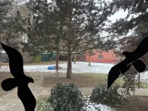 Pronájem pokoje, Olomouc, Přichystalova, 65 m2