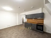 Pronájem bytu 3+kk, Teplice, Pražská, 48 m2