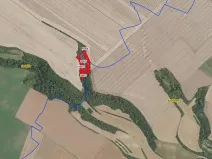 Prodej lesa, Mečeříž, 10300 m2