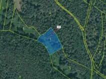 Dražba lesa, Jesenice, 1924 m2