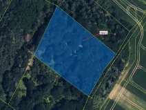 Dražba lesa, Přemyslovice, 7049 m2